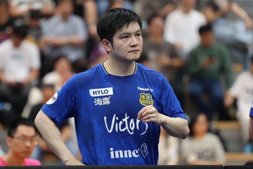 表现出色 表现出色