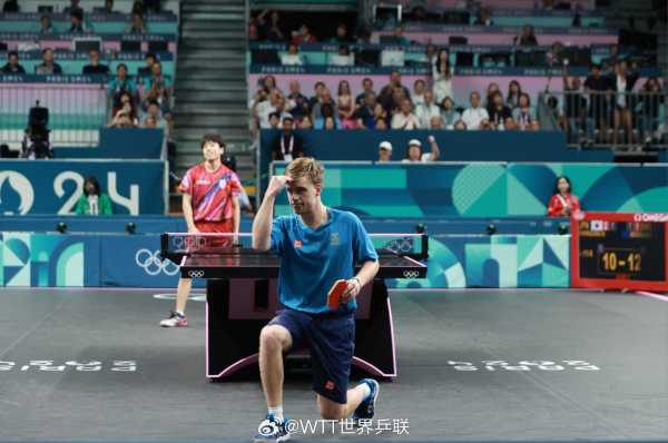 自己的表现 自己的表现